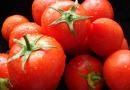 Что мы знаем о помидорах